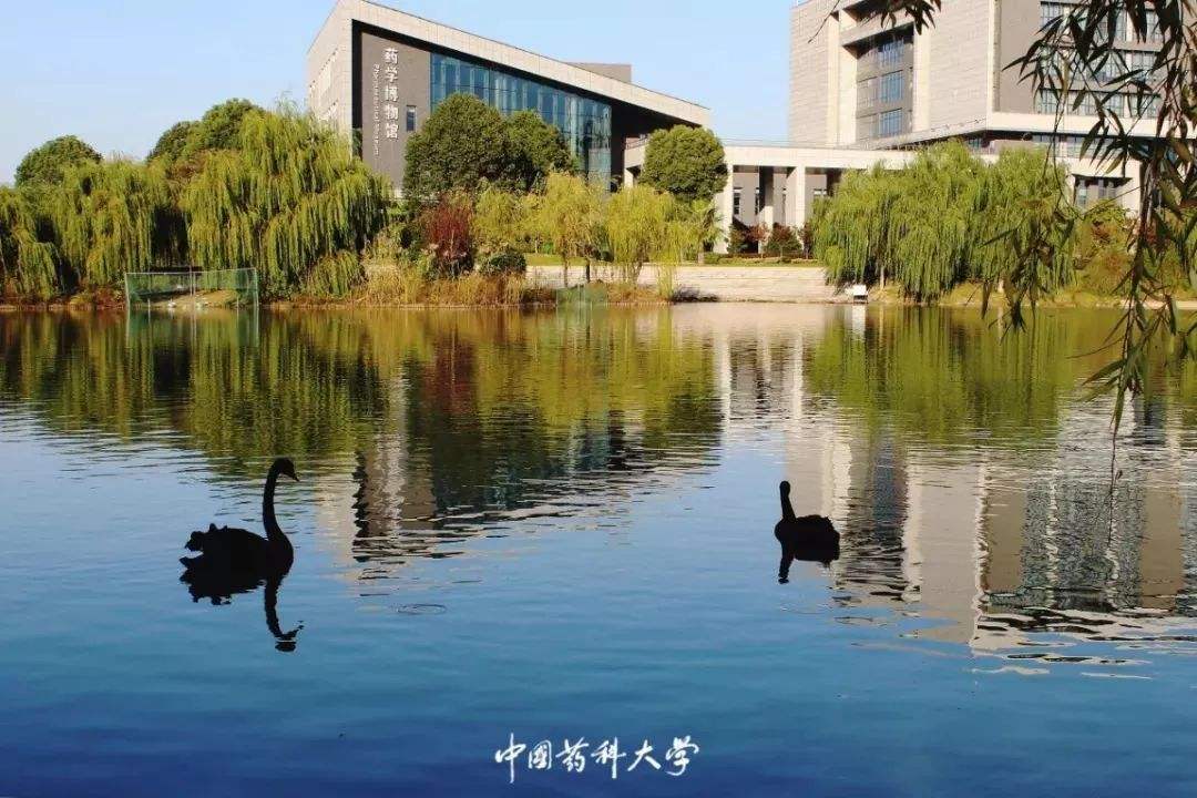 中國藥科大學